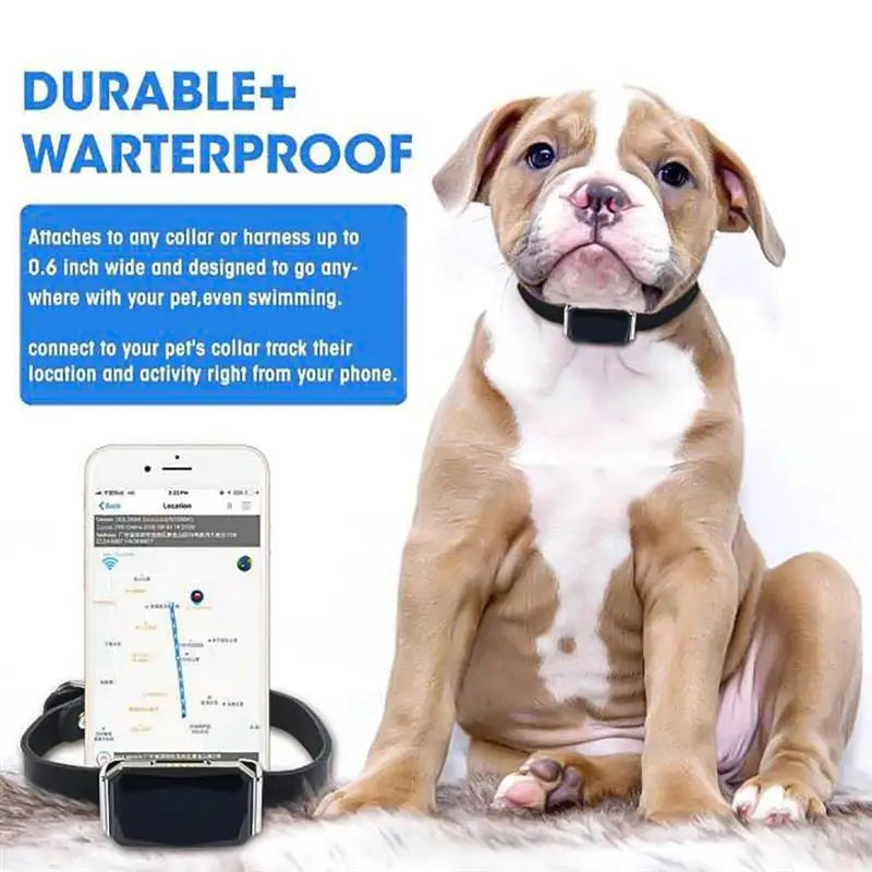 GPS Smart Waterproof Pet Locator! This universal collar offers reliable GPS location tracking for both cats and dogs, ensuring your pets stay safe and secure in any environment.