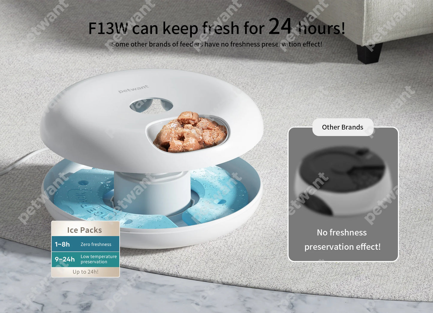 Petwant Cat Smart Feeder 6 Meals Wifi APP Remote Support Dry Wet Food Dispenser Dual Power Supply Automatic Pet Feeder For Cats