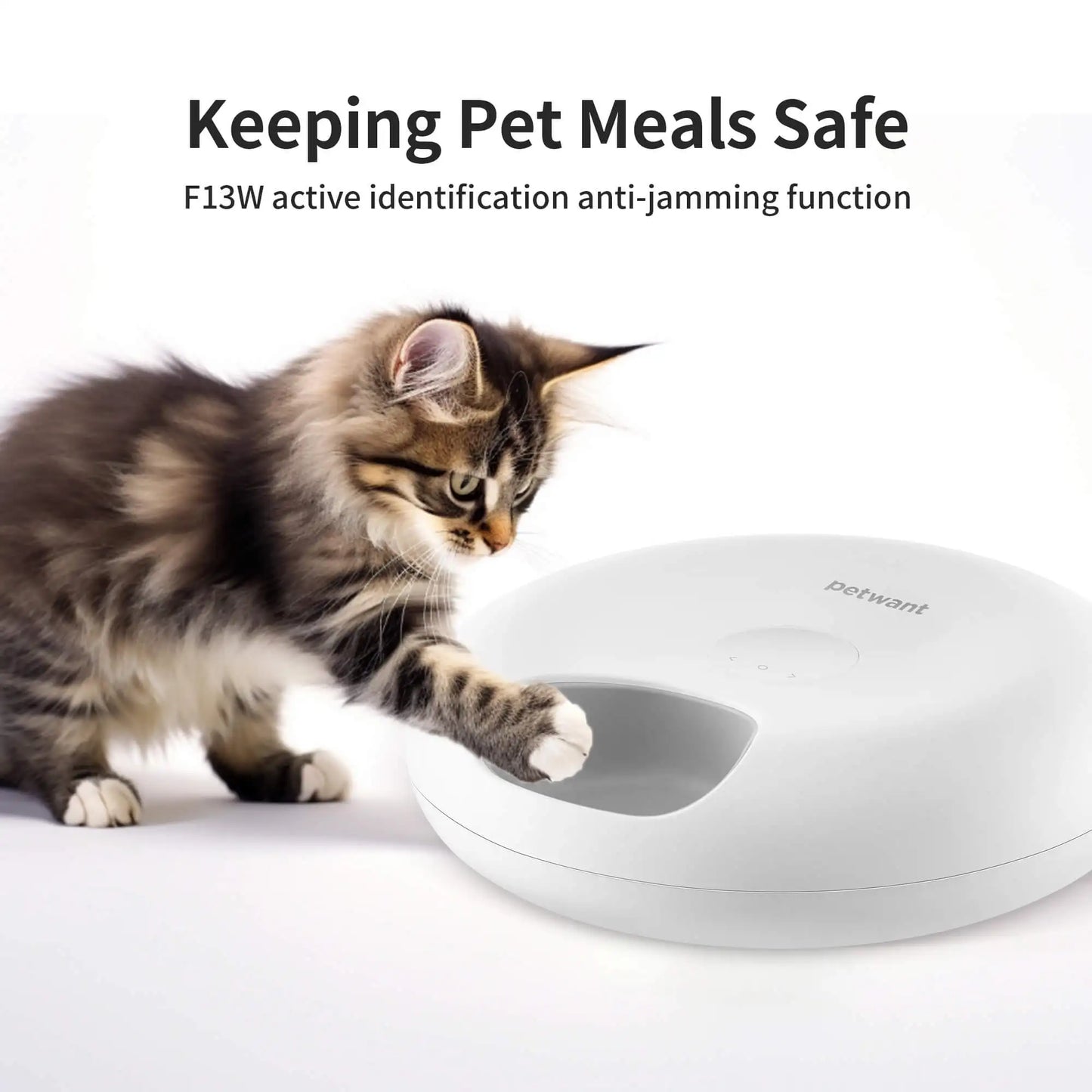 Petwant Cat Smart Feeder 6 Meals Wifi APP Remote Support Dry Wet Food Dispenser Dual Power Supply Automatic Pet Feeder For Cats