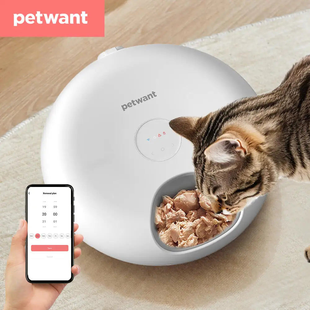 Petwant Cat Smart Feeder 6 Meals Wifi APP Remote Support Dry Wet Food Dispenser Dual Power Supply Automatic Pet Feeder For Cats