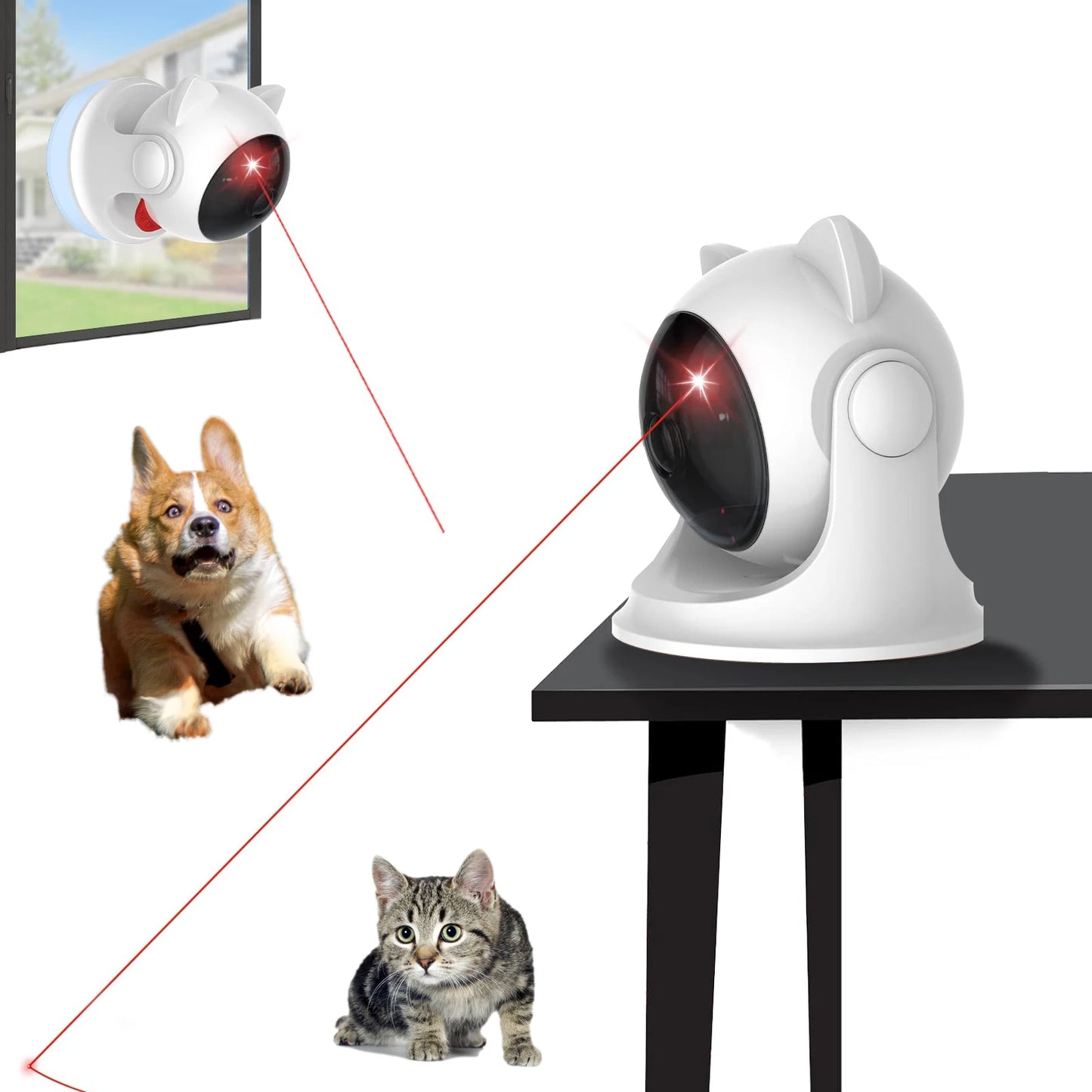 Cat/Dog Laser Toy: an automatic, rechargeable interactive toy that activates randomly! Perfect for indoor cats, dogs, and kittens, featuring both slow and fast modes for endless fun.