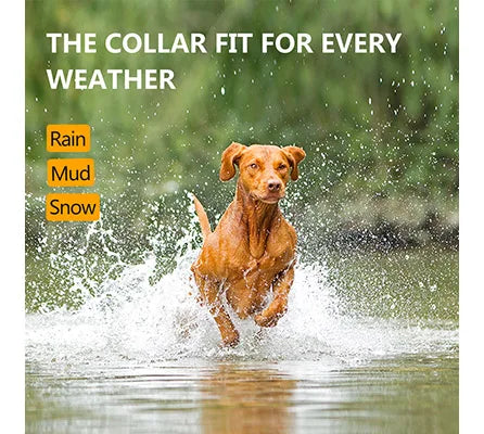 Anti-Bark Collar for Dogs! This effective electric collar is perfect for training, helping to reduce excessive barking while keeping your furry friend safe and comfortable. Ideal for all dog owners!