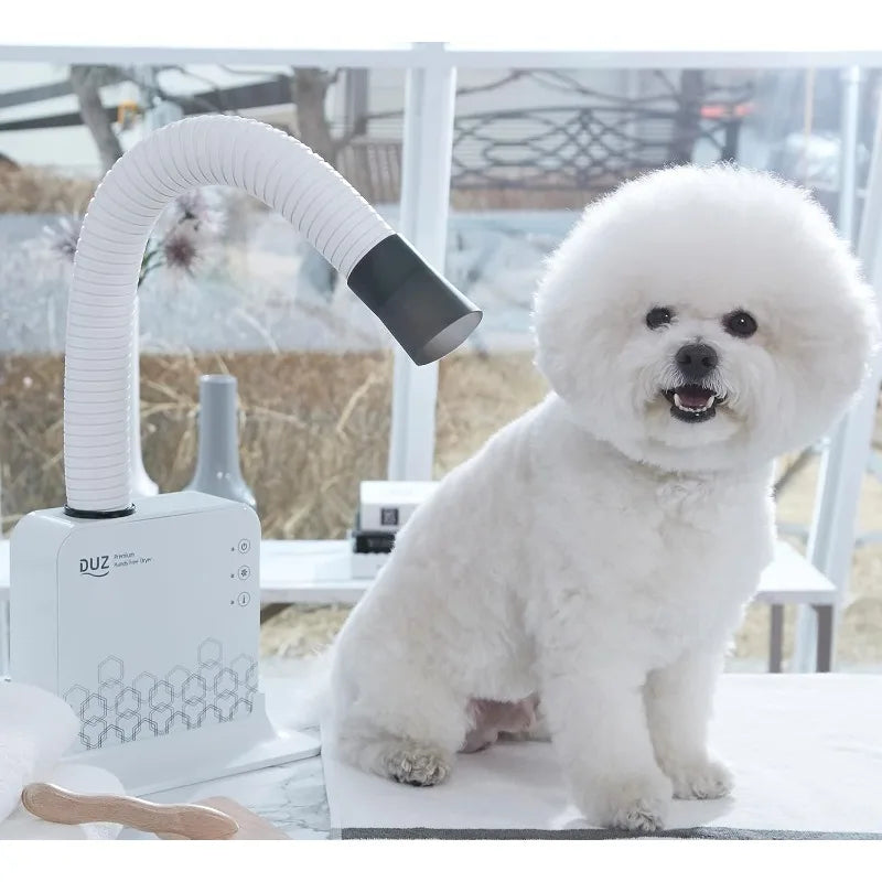 DUZ Premium Hands-Free Pet Dryer! This 900W compact dryer features a 360-degree adjustable drying tube and easy touch buttons, powered by a quiet BLDC motor—perfect for quick and efficient pet drying!