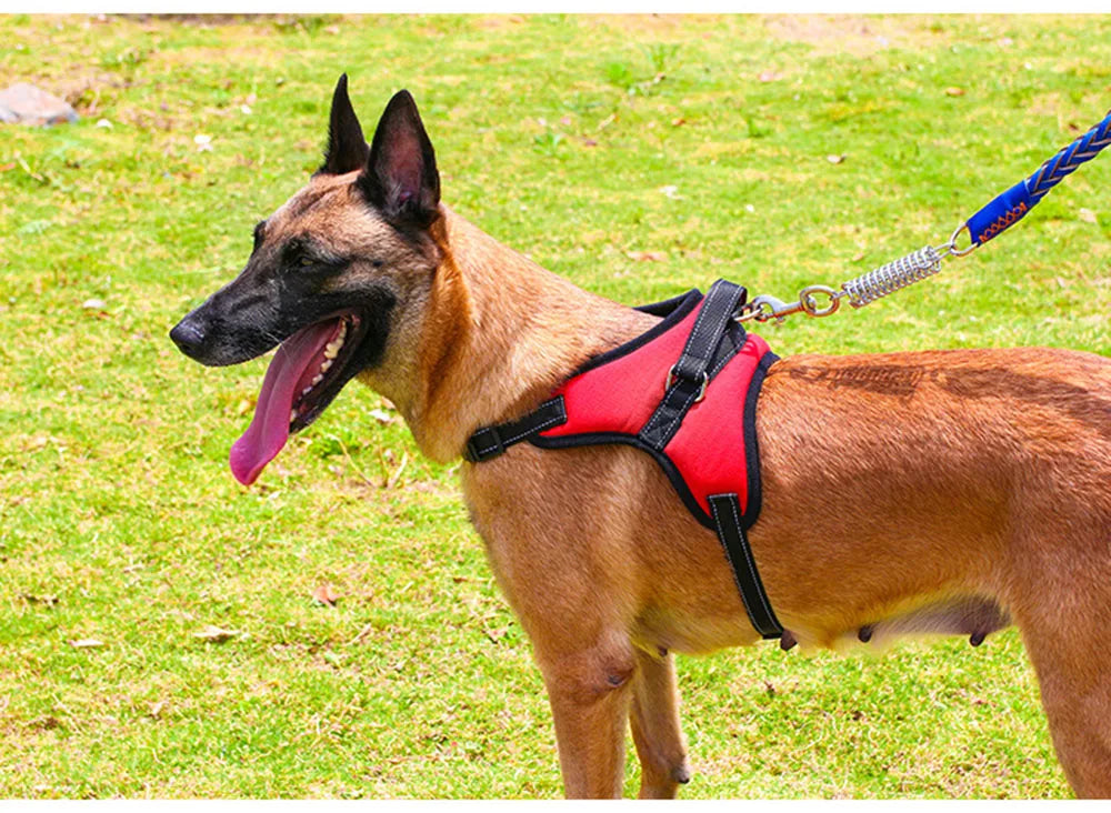 Pet Dog Adjustable Nylon Dog Harness for Large Breeds - Reflective No-Pull Vest with Chest Strap. Ideal for Walking and Training Puppies and Adult Dogs.