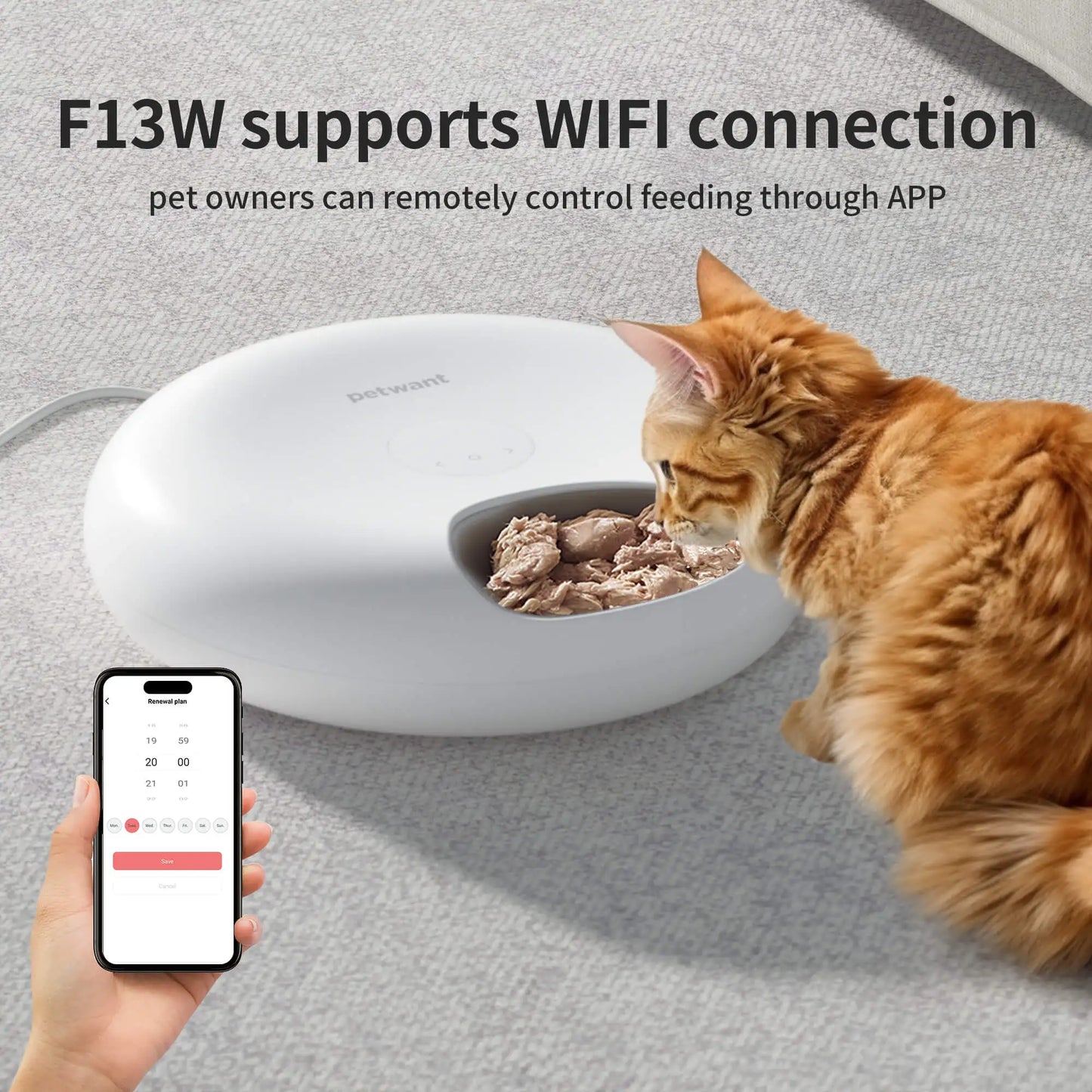 Petwant Cat Smart Feeder 6 Meals Wifi APP Remote Support Dry Wet Food Dispenser Dual Power Supply Automatic Pet Feeder For Cats