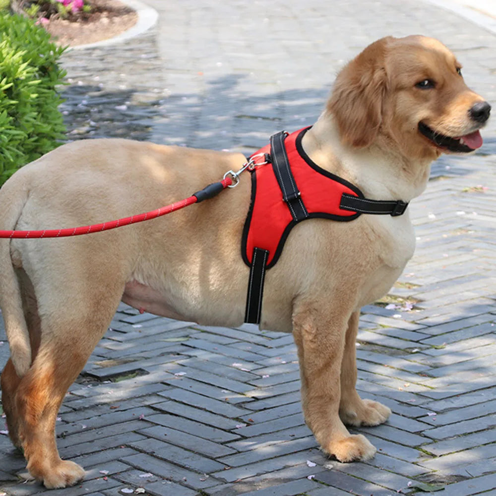 Pet Dog Adjustable Nylon Dog Harness for Large Breeds - Reflective No-Pull Vest with Chest Strap. Ideal for Walking and Training Puppies and Adult Dogs.