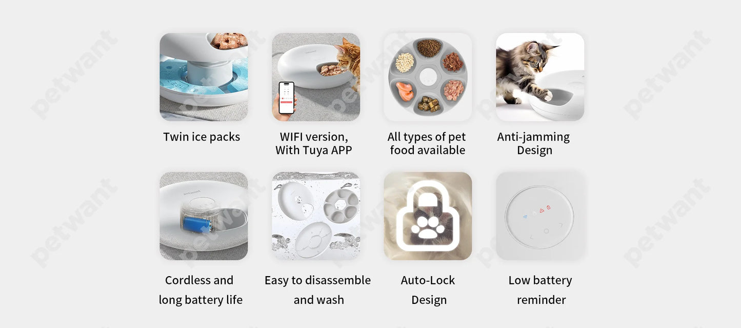 Petwant Cat Smart Feeder 6 Meals Wifi APP Remote Support Dry Wet Food Dispenser Dual Power Supply Automatic Pet Feeder For Cats